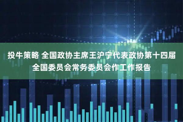 投牛策略 全国政协主席王沪宁代表政协第十四届全国委员会常务委员会作工作报告