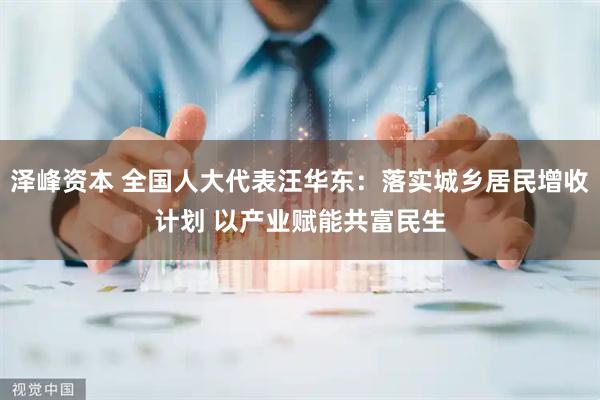 泽峰资本 全国人大代表汪华东：落实城乡居民增收计划 以产业赋能共富民生
