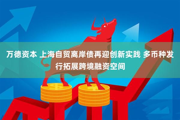 万德资本 上海自贸离岸债再迎创新实践 多币种发行拓展跨境融资空间