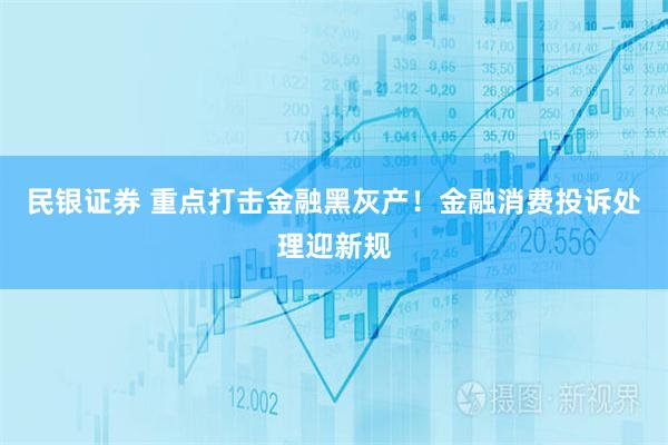 民银证券 重点打击金融黑灰产！金融消费投诉处理迎新规