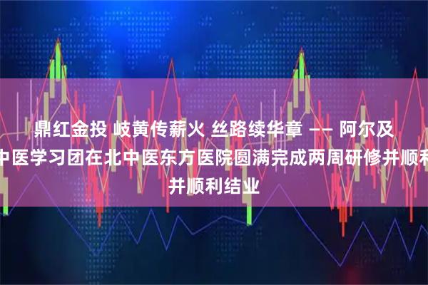 鼎红金投 岐黄传薪火 丝路续华章 —— 阿尔及利亚中医学习团在北中医东方医院圆满完成两周研修并顺利结业