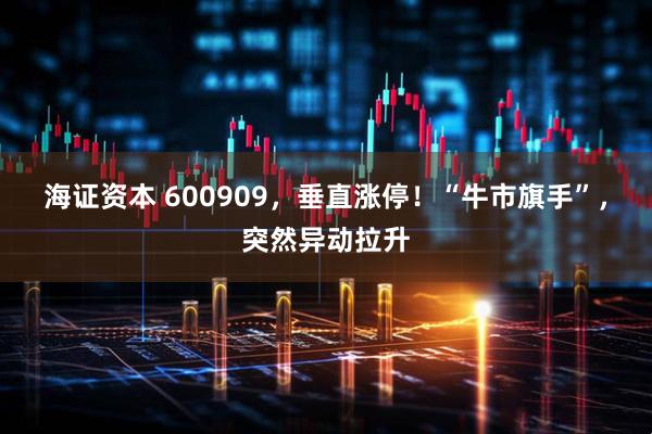 海证资本 600909，垂直涨停！“牛市旗手”，突然异动拉升