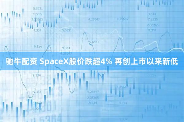 驰牛配资 SpaceX股价跌超4% 再创上市以来新低